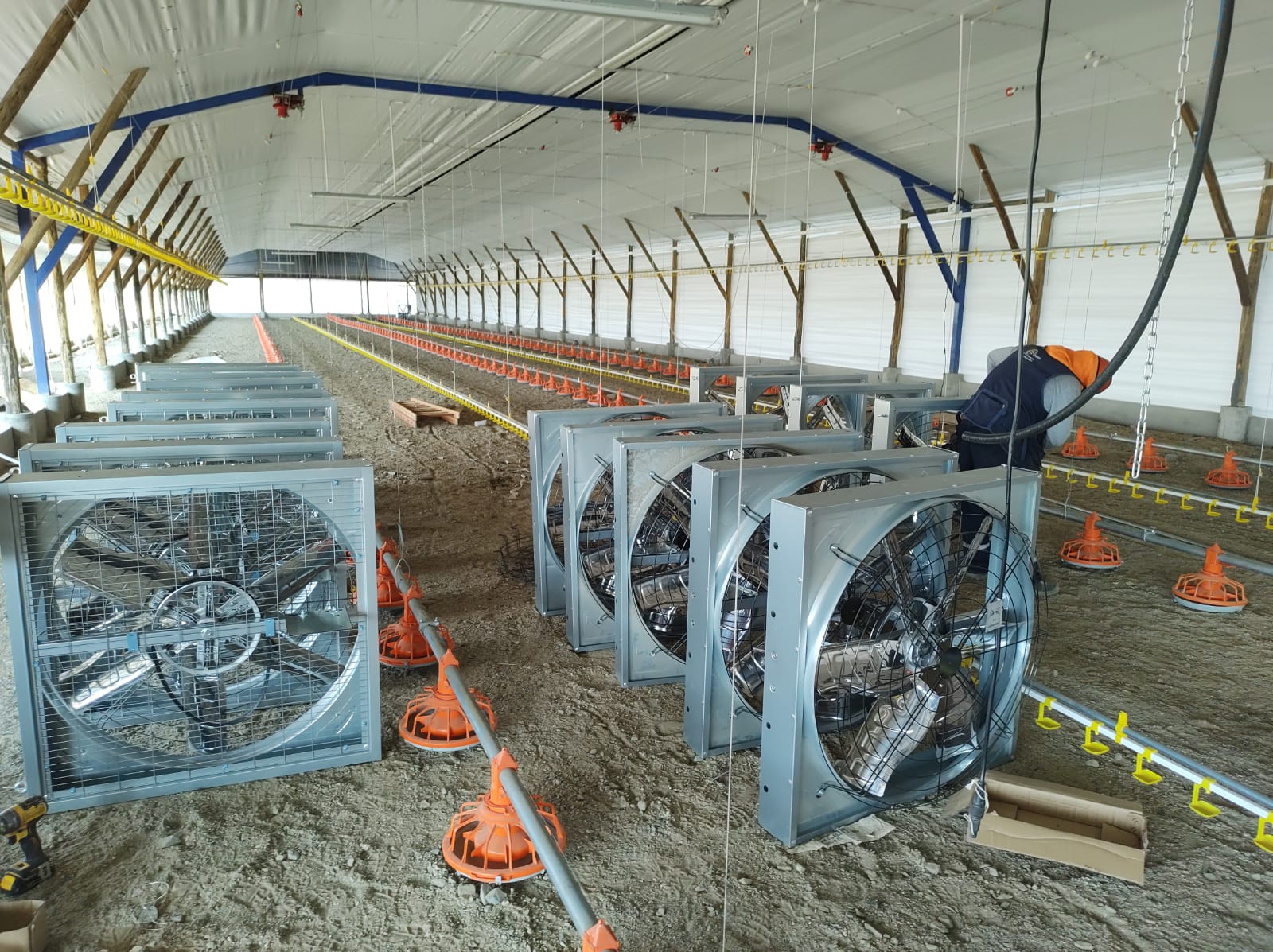 Producción de Huevos - Avicultura